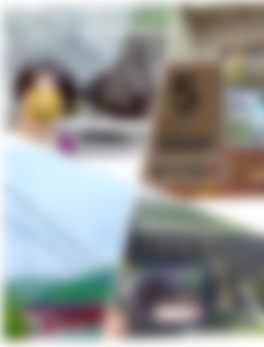 タイトル